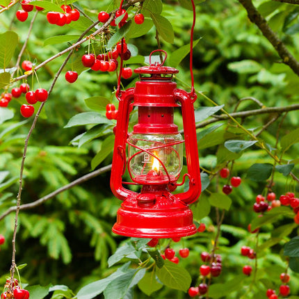 Feuerhand Stormlantaarn Baby Special 276 Ruby Red