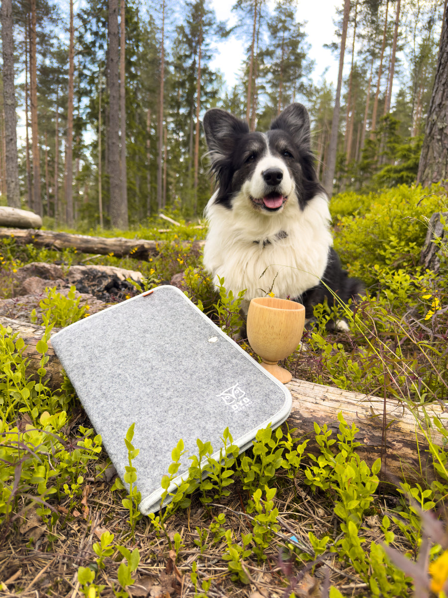 Øyo houten wijnglas op een vilten zitkussen in het bos met een hond erachter