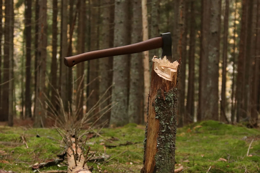Øyo Bosbijl in een boomstronk in het bos