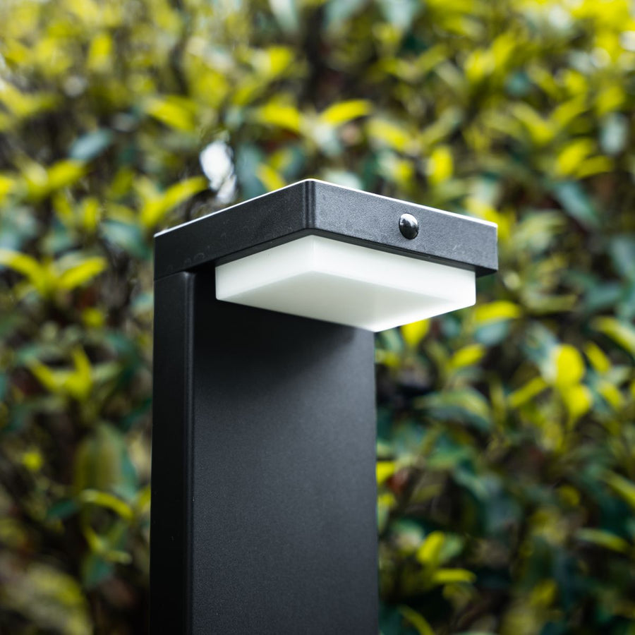ZOLUNA solar priklamp Bram 4