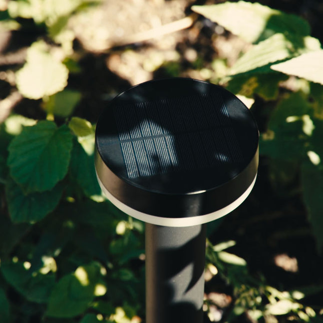 ZOLUNA solar priklamp Guus detail
