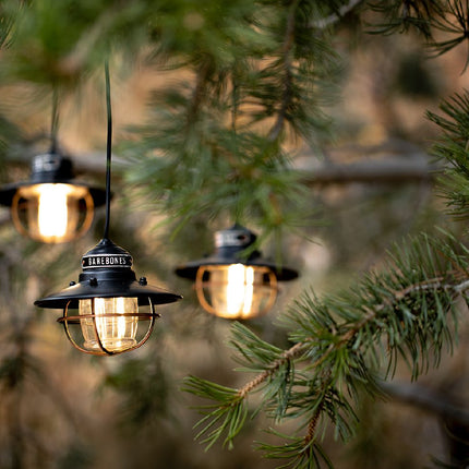 Barebones Edison String Lights Bronze LIV-265
