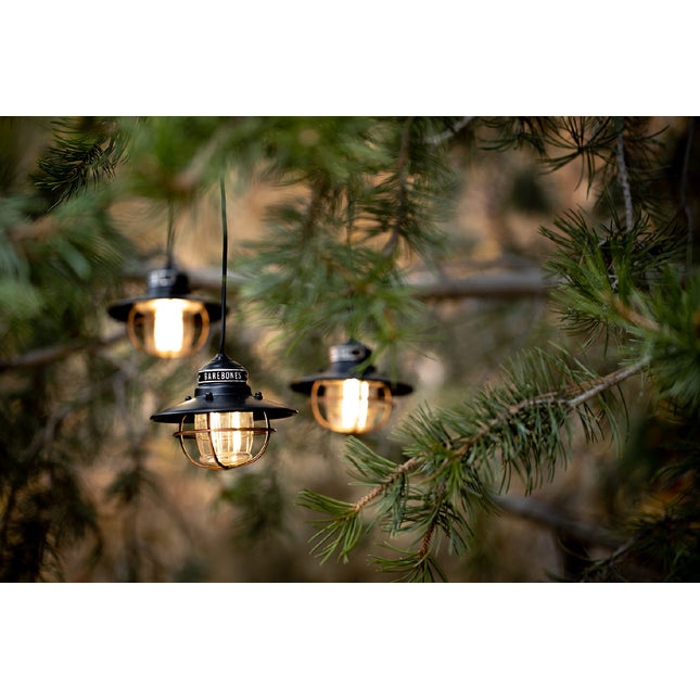 Barebones Edison String Lights Bronze LIV-265