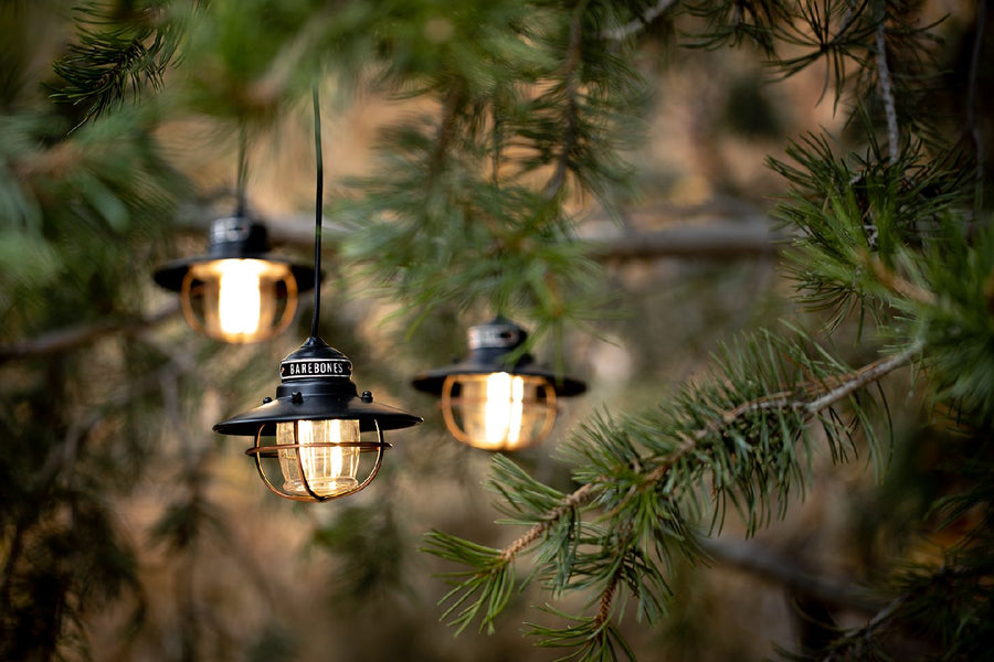 Barebones Edison String Lights Bronze LIV-265 - Firesite