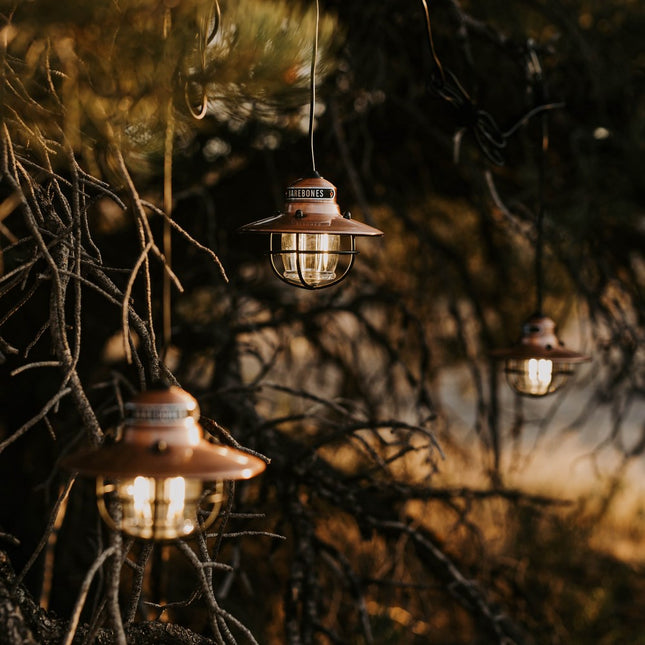 Barebones Edison String Lights Copper LIV-269