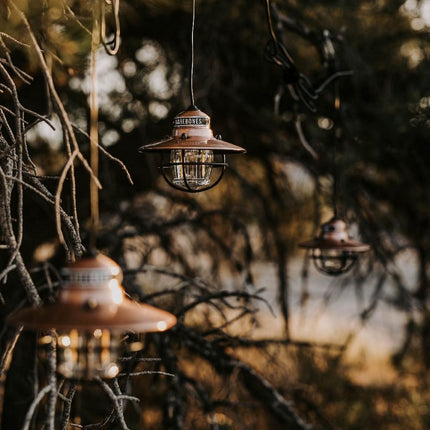 Barebones Edison String Lights Copper LIV-269